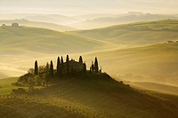 Cypress, Italian Cypress, Cupressus sempervirens, Zypresse, vineyards, country house, farm house, hill countryside, misty atmosphere, spring, agricult...