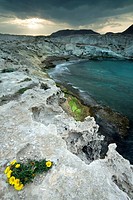 Los Escullos coast. Cabo de Gata-Nijar Biosphere Reserve, Almeria province, Andalucia, Spain
