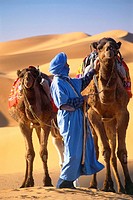 Man and camels in desert, Morocco