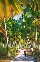 Palm trees, Zanzibar, Tanzania