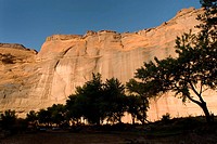USA, Arizona, Chinle  Canyon de Chelly National Monument in the Navajo Indian Reserve  View of sandstone cliffs from the bottom of the canyon, near Wh...