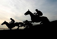 Horses silhouetted as they go over a jump at Towcester Racecourse
