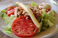 Salad (tomato, asparagus, tuna fish, lettuce, egg)
