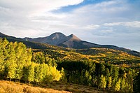 Aspen groves full of autumn color stand below high peaks in the La Sal mountains near Moab, Utah
