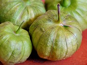 organic tomatillos from a CSA Community Supported Agriculture © Paula Borchardt - All rights reserved