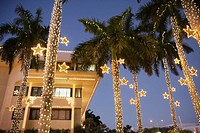 Florida, Miami Beach, City Hall, palm trees, dusk, Christmas lights, winter holiday, season, seasonal, decoration, star, frond, tropical, tradition,