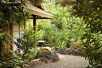 Gravel path bordered by Black Mondo Grass leads to Tateuchi Viewing Pavilion in Japanese Garden