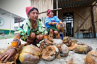 Kuna women selling coconuts, Panama
