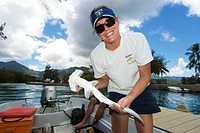 Research scientist Lori Davis holds hammerhead shark pup, Sphyrna lewini, Hawaii Institute of Marine Biology, Kaneohe, Oahu, Hawaii