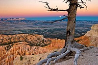 Moonrise through the earth shadow as seen in from Bryce Point in Bryce Canyon National Park