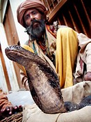 Snake charmer, Varanasi, Uttar Pradesh, India