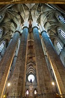 Basílica Santa Maria del Mar, Ceiling of the gothic nave, Barcelona, Catalonia, Spain