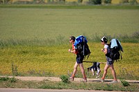 , Pilgrims to Santiago de Compostela, helping their dog