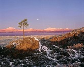 Moonset at Sunrise over Cascade Mountains, Newberry National Volcanic Monument:  Deschutes National Forest, Oregon, U.S.A.