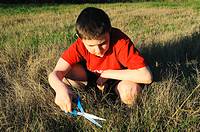 A young boy cuts the grass the slow way - one blade at a time  Symbolizes the concept ´hard at work´ or ´a waste of time ´