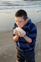 Young boy tasting sea foam at sunrise on Hunting Island in South Carolina, USA  Hunting Island is well known for its five mile white sand beach and At...