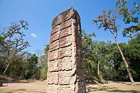Stela P, West Court, Mayan ruins of Copan, Honduras
