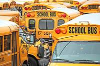 A mosaic of American school buses. New York City