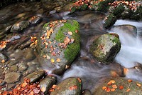 Lindes river in autumn. Quirós. Asturias. Spain
