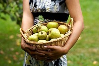 A woman holding a basket of green apples