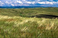 USA, Montana, little Bighorn Battlefield National Monument