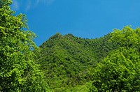 The Chimney Tops in Great Smoky Mountains National Park in the summertime.