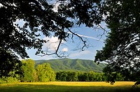 A scenic view of Cades Cove in Great Smoky Mountains National Park, Tennessee, USA