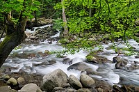 Little Pigeon River Cascades in Greenbrier of the Great Smoky Mountains in Tennessee, USA