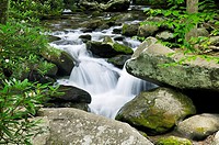 Little Pigeon River Cascades in Roaring Fork of the Great Smoky Mountains in Tennessee, USA