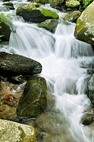 Little Pigeon River Cascades in Roaring Fork of the Great Smoky Mountains in Tennessee, USA