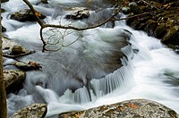 The middle prong of Little Pigeon River in Autumn´s color at Great Smoky Mountains National Park provides scenic beauty not matched by many other plac...