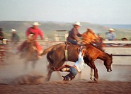 Navajo rodeo, Arizona