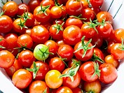Ripe cherry tomatoes in white colander  Close up  Below camera  horizontal