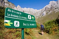 Mountaineers walking in the mountains of Andara Massif  Brez, in the municipality of Camaleño, in the Liébana Valley  Picos de Europa National Park  C...