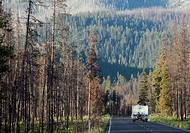 A camper travels down the road cut through a forest near McCall, USA