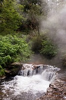 Kerosene Creek hot spring or thermal spring near Rotorua in New Zealand