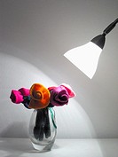 Artificial flower, flower vase, lamp, growth, Kiel, Germany