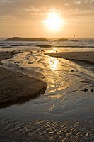 USA, Oregon, Lincoln County, Seal Rock State Recreation Area, beach with creek flowing across, gulls and rocks at sunset, vertical, August