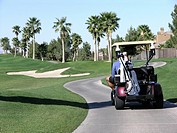 Golfer sitting in golf cart on course with palm trees in background