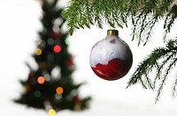 Close up of a hanging red glass ball ornament with blurred Christmas tree on white