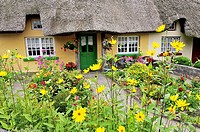 Picturesque traditional thatched cottage with garden summer flowers in town of Adare, County Limerick, Ireland