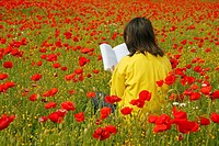 Reading a book in a poppies field.