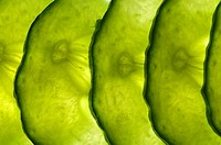 thin slices of cucumber lit from behind, overlapping in a line,