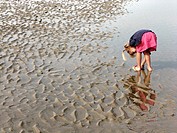 Niña cogiendo conchas en las playas de De Haan  Bélgica  Mar del Norte