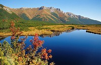 Autumn colours in Dolina Bielej Vody, High Tatras, Slovakia