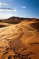 Morocco Sahara Desert near Erfoud Erg Chebbi