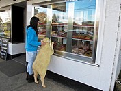 A young girl with a humorous promotional gimmick of a sheep looking in a butcher´s window
