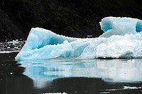 Tourist cruises to observe glaciers Glacier National Park Patagonia Argentina