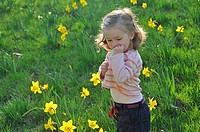 small child in a meadow with Daffodils
