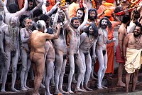 India, Uttarakhand, Haridwar, Kumbh Mela  A Sadhu an ascetic or practitioner of yoga yogi who has given up pursuit of the first three Hindu goals of l...